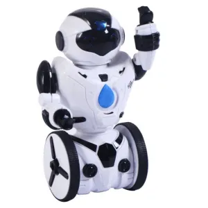 2.4G RC Smart Self Balancing Robot with Remote Control