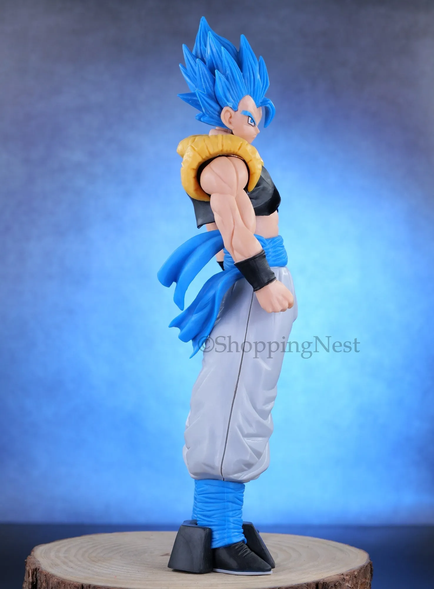 Dragon Ball Z | Super Saiyan God Gogeta Anime Action Figure | 28 Cm |