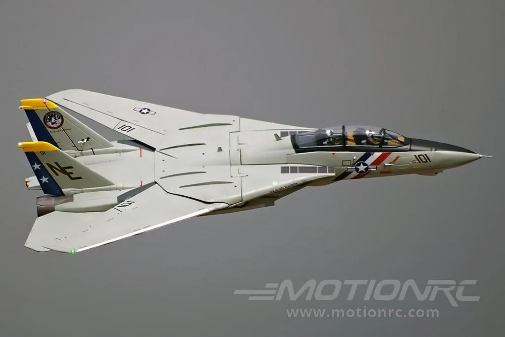 Freewing F-14 Tomcat Twin 80mm EDF Jet - ARF PLUS