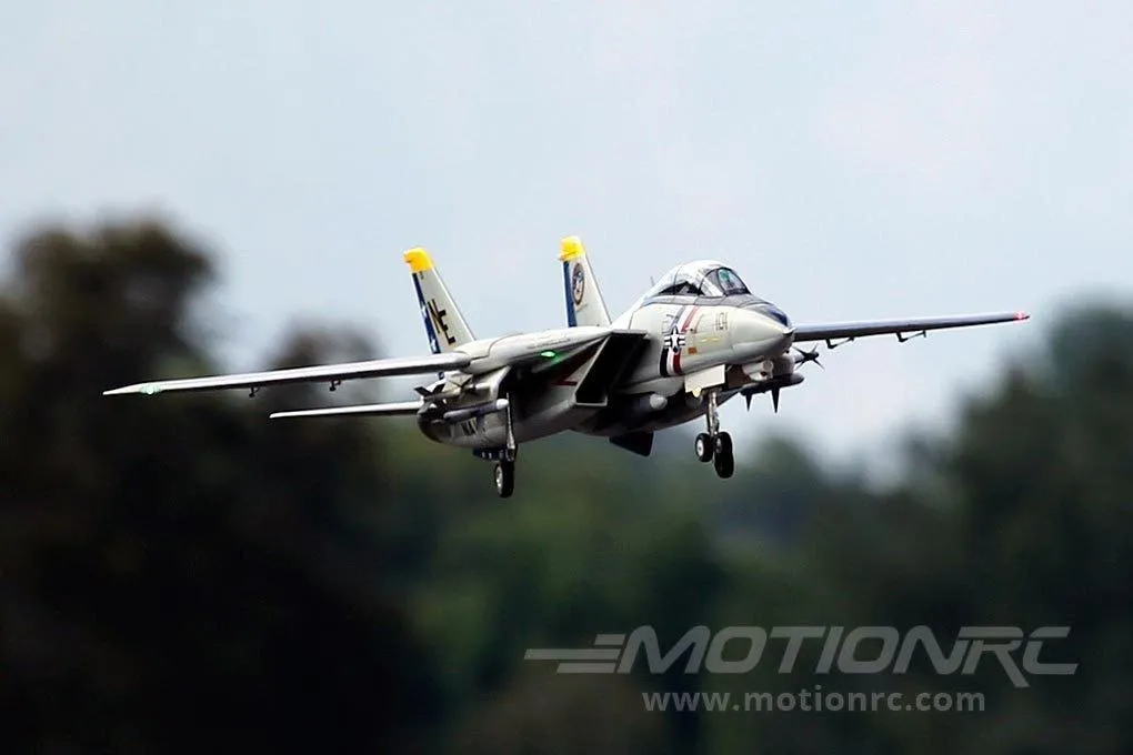 Freewing F-14 Tomcat Twin 80mm EDF Jet - ARF PLUS