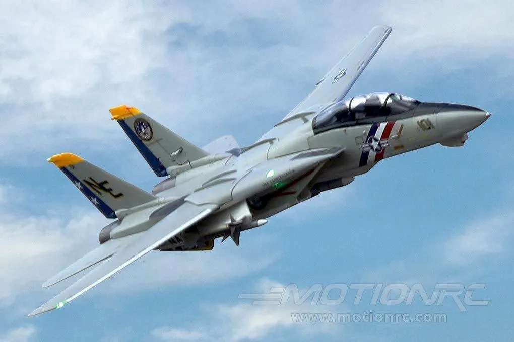 Freewing F-14 Tomcat Twin 80mm EDF Jet - ARF PLUS