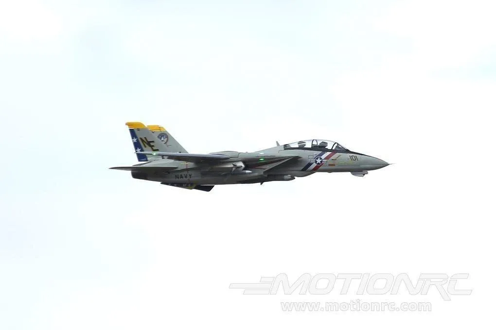 Freewing F-14 Tomcat Twin 80mm EDF Jet - ARF PLUS