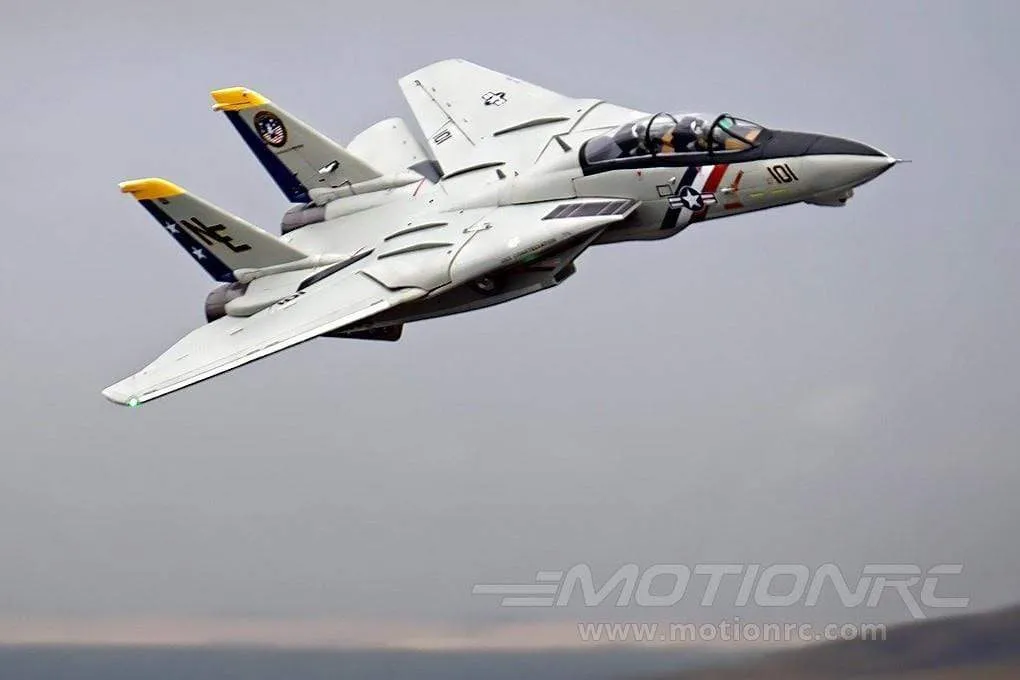 Freewing F-14 Tomcat Twin 80mm EDF Jet - ARF PLUS