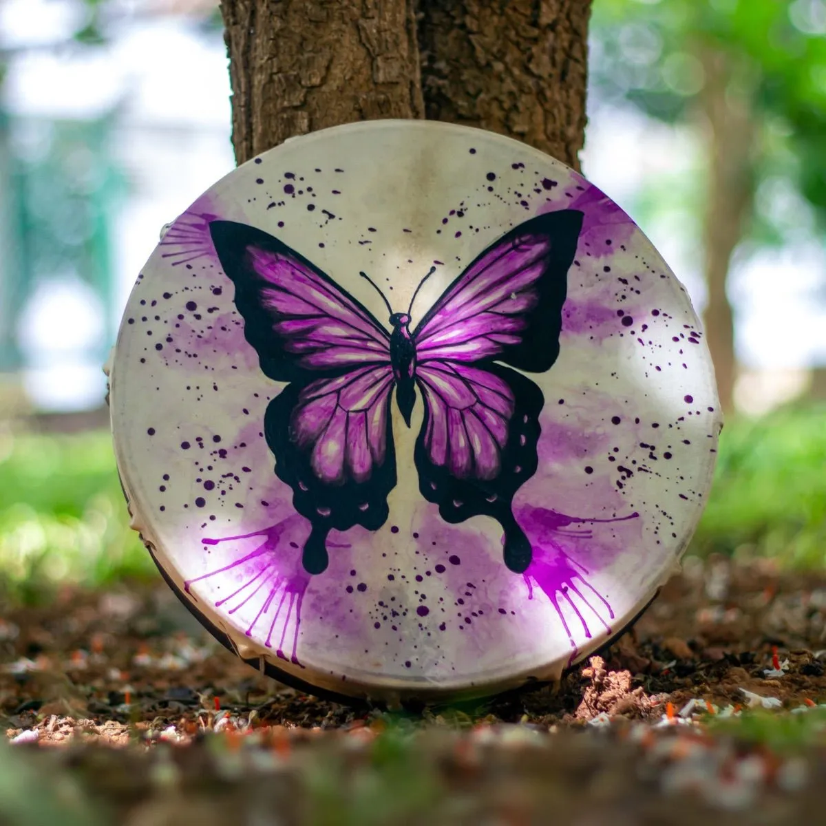 Shamanic Drums Butterfly- 30 cms