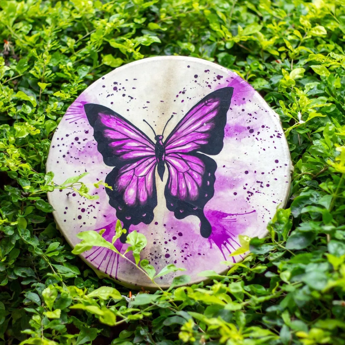 Shamanic Drums Butterfly- 30 cms