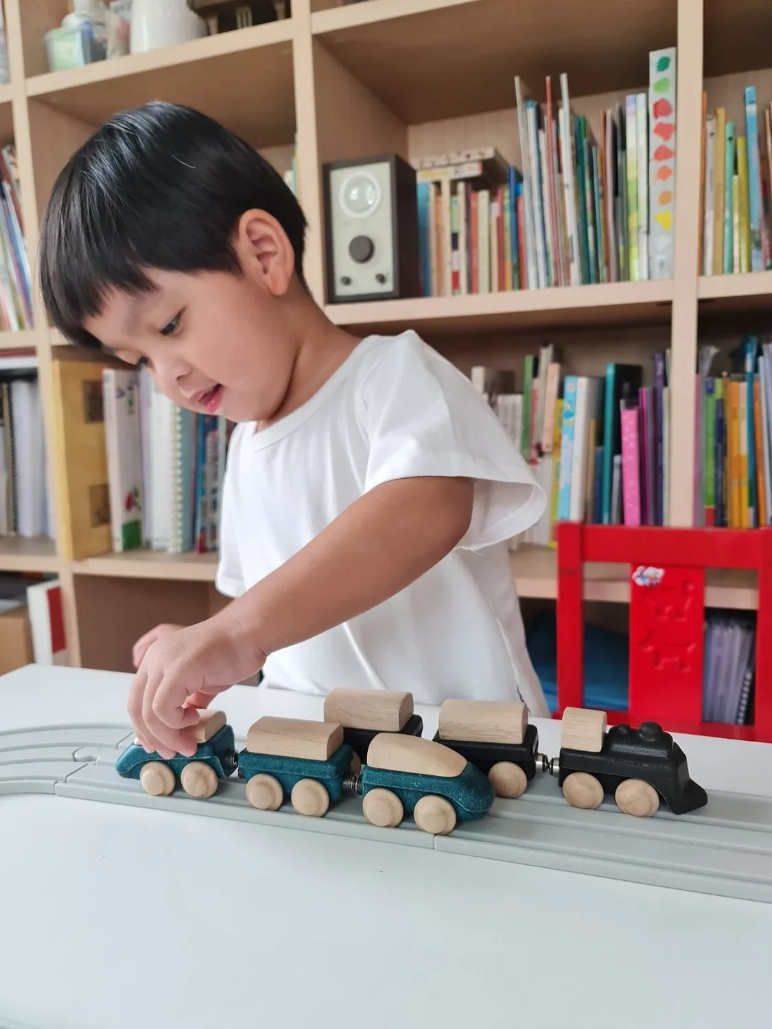 Wooden Hybrid Train